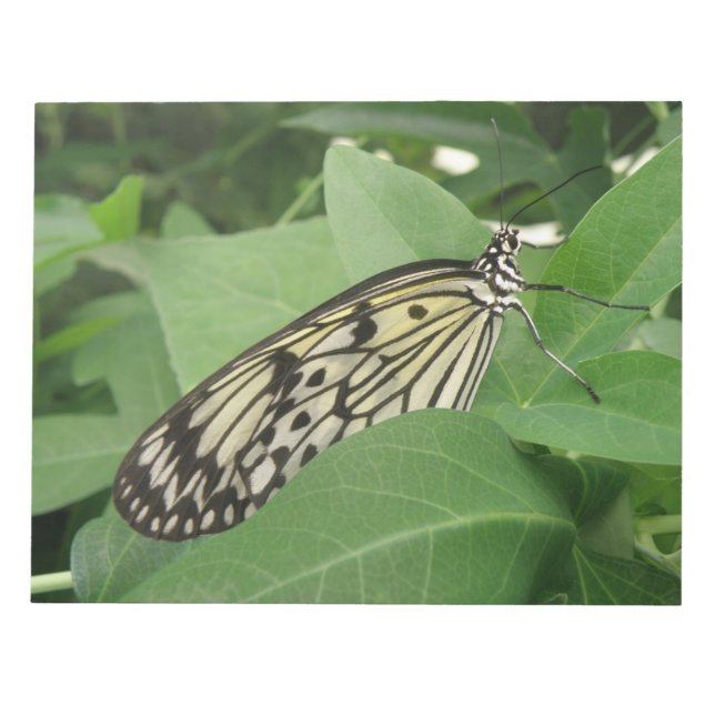 Anteckningsblocket papper Kite Butterfly Macro Anteckningsblock (Framsida)
