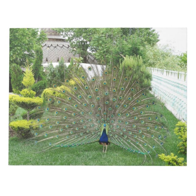 Anteckningsblocket Peacock Photography Anteckningsblock (Framsida)