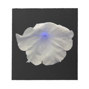 Anteckningsblocket Petunia Blue Glow Anteckningsblock