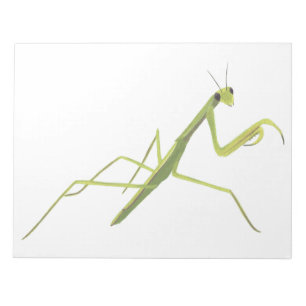 Anteckningsblocket Praying Mantis Painting Anteckningsblock