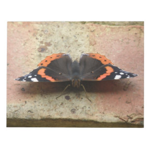 Anteckningsblocket Red Admiral Butterfly Anteckningsblock