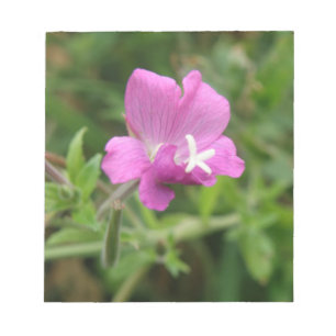 Anteckningsblocket Red Campion Wildblomma Anteckningsblock