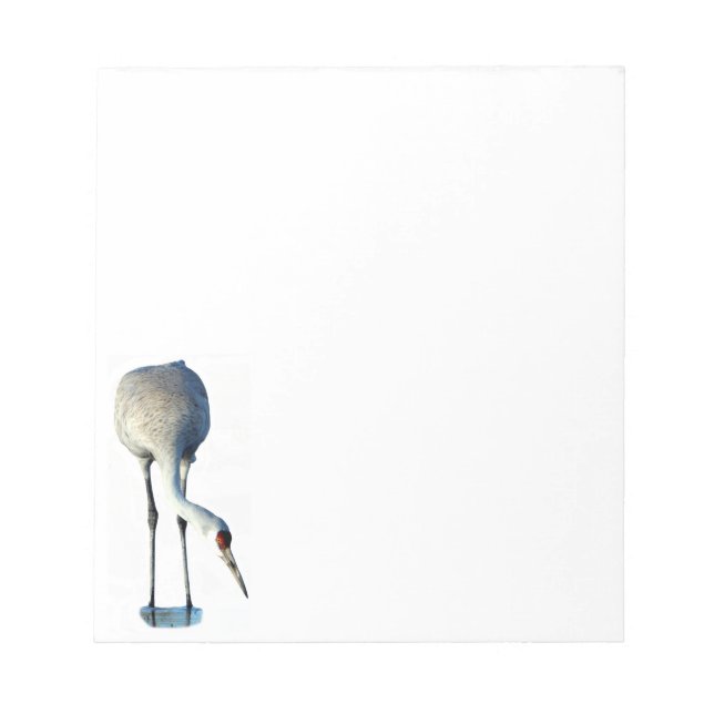 Anteckningsblocket Sandhill Crane Photo Stationery Anteckningsblock (Framsida)
