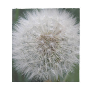 Anteckningsblocket Seeding Dandelion Flower Anteckningsblock