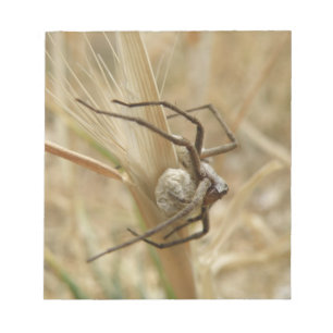 Anteckningsblocket Spider och Egg Sac Anteckningsblock