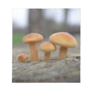 Anteckningsblocket Tiny Toadstools Macro Anteckningsblock