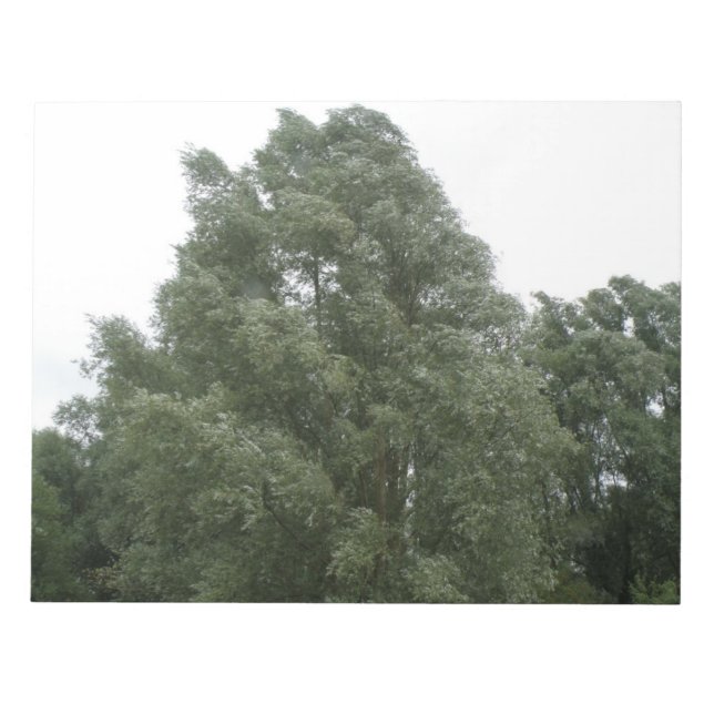 Anteckningsblocket Treetops Anteckningsblock (Framsida)