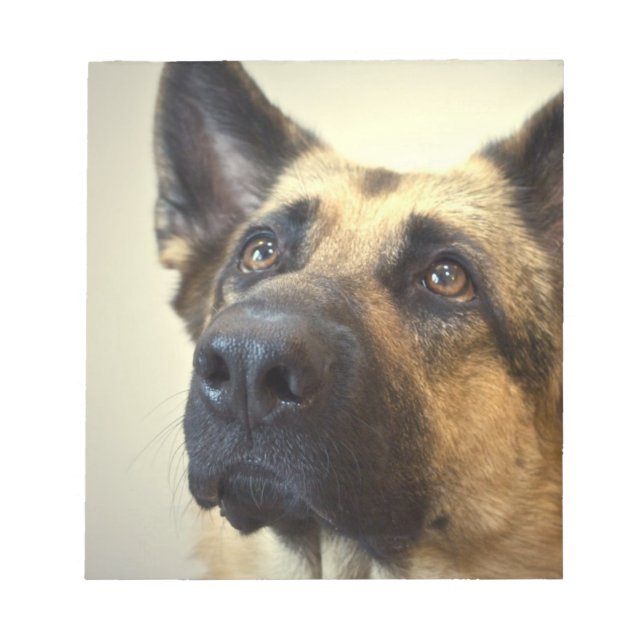Anteckningsblocket Tyska Shepherd Bild Anteckningsblock (Framsida)