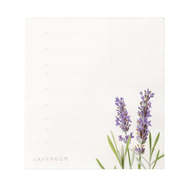 Anteckningsblocket vintage Fransk Lavender Anteckningsblock (Framsida)