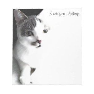 Anteckningsblocket Vit och brun Tabby katt-färg Anteckningsblock