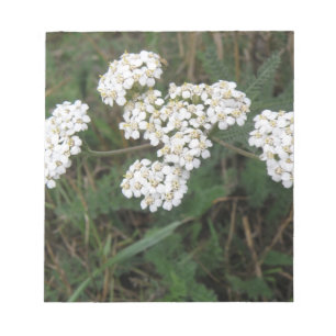 Anteckningsblocket White Wildblommor Anteckningsblock