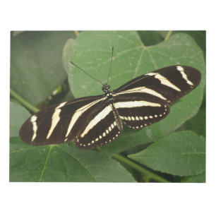 Anteckningsblocket Zebra Longwing Butterfly Anteckningsblock