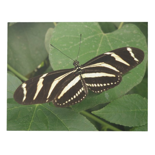 Anteckningsblocket Zebra Longwing Butterfly Anteckningsblock (Framsida)