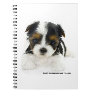 Anteckningsbok 80 sidor - Biewer Terrier Valp
