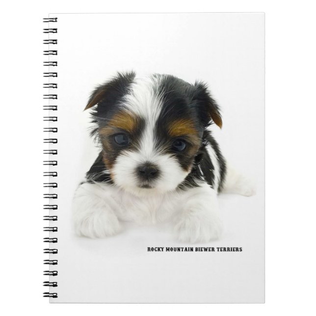Anteckningsbok 80 sidor - Biewer Terrier Valp (Framsidan)