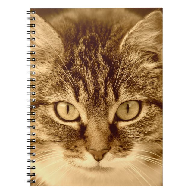 Anteckningsbok för journal för kattälskare spiral (Framsidan)
