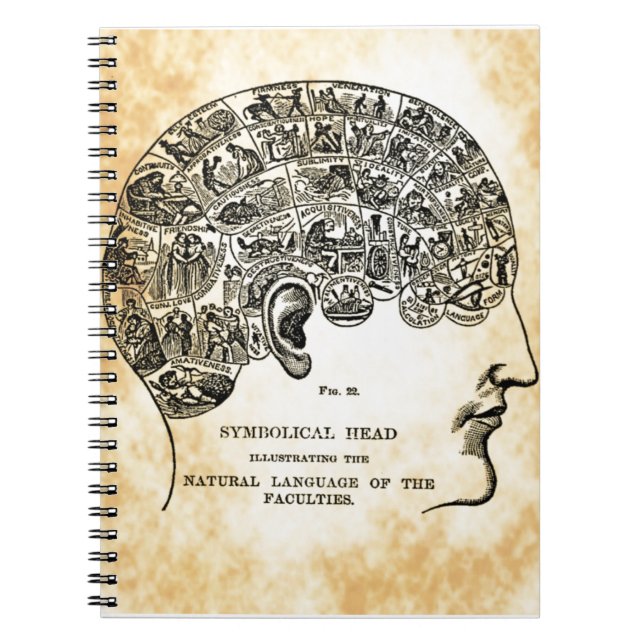 Anteckningsbok för PhrenologySteampunk vintage (Framsidan)