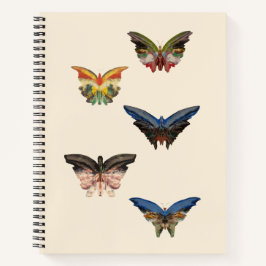 Anteckningsbok för spiral, Albert Bierstadts fjäri