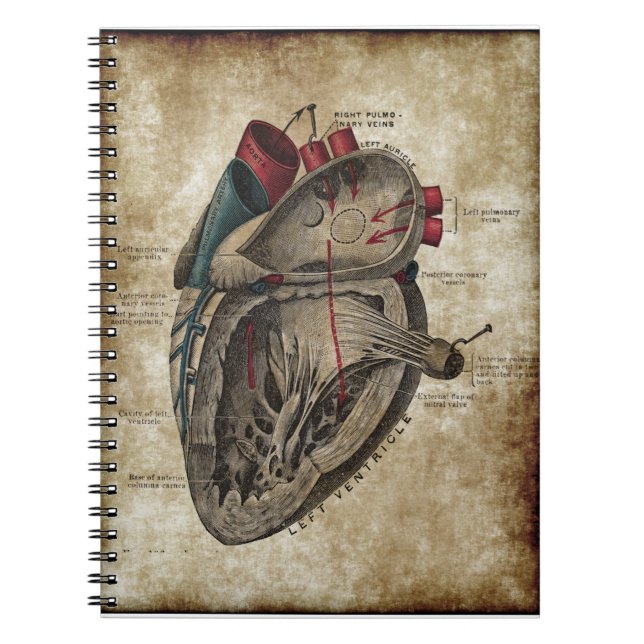Anteckningsbok för vintagehjärtadiagram (Framsidan)