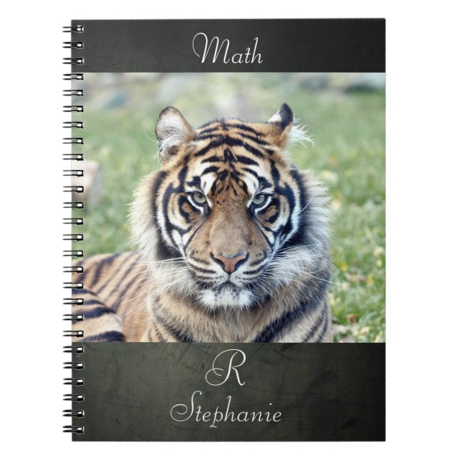 Anteckningsbok Fototiger, djur 0255. (Framsidan)