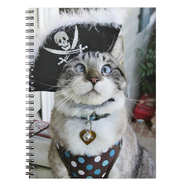 Anteckningsbok Med Spiral (Framsidan)