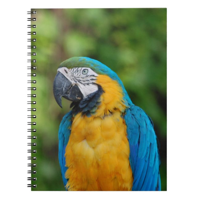 anteckningsbok _ parrot (Framsidan)
