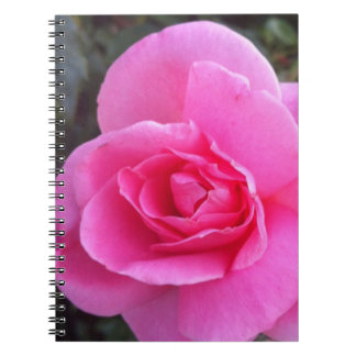 Anteckningsbok - rosa ros med spiral