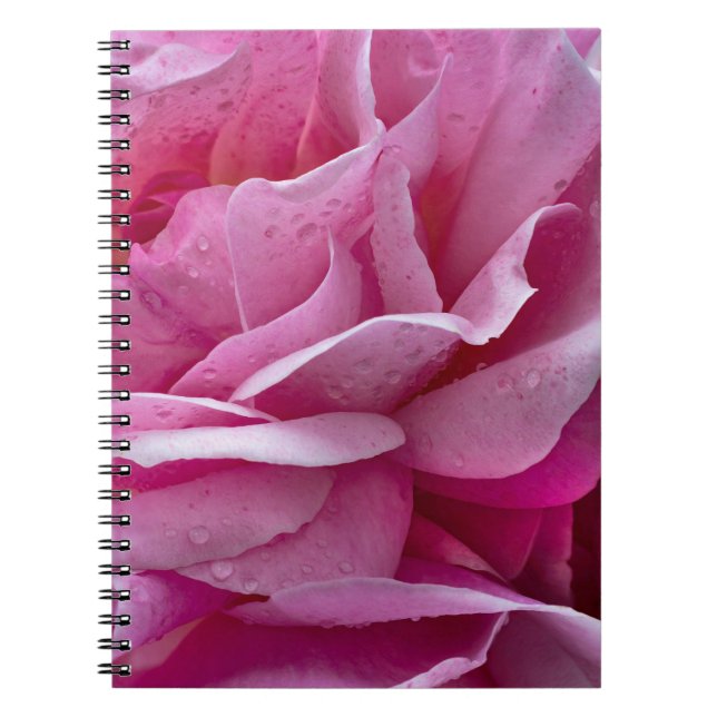 Anteckningsbok  - Rosa rosblad och daggdroppar (Framsidan)