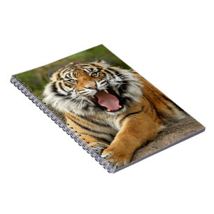 Anteckningsbok-Tiger Anteckningsbok Med Spiral