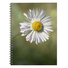 Anteckningsbok - Tusenskönas blomfotografering
