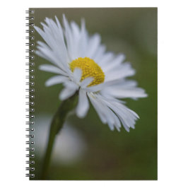 Anteckningsbok - Tusenskönas blomfotografering