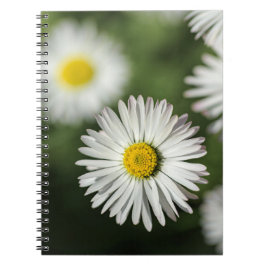 Anteckningsbok - Tusenskönor Blomfotografering