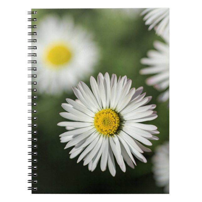 Anteckningsbok - Tusenskönor Blomfotografering (Framsidan)