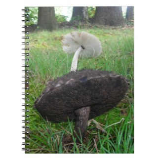 Anteckningsboken Ebony och Ivory Fungi Anteckningsbok