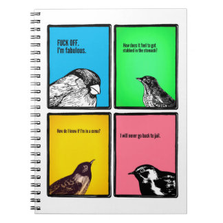 Anteckningsboken (men med mindre kyssande & mer anteckningsbok med spiral