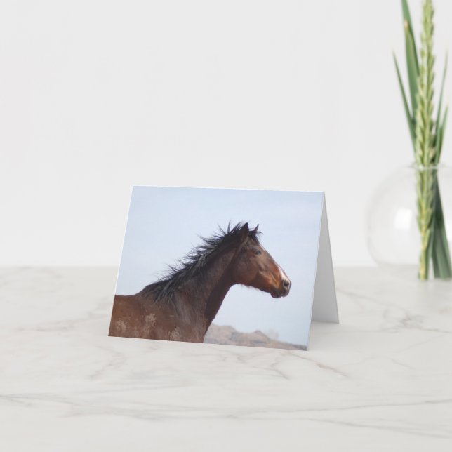 Anteckningskort (Framsida)