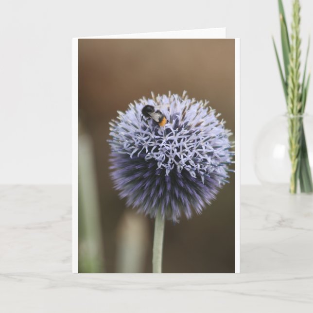 Anteckningskort (Framsida)