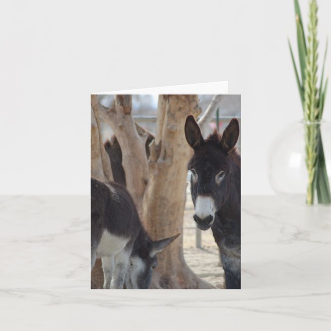 Anteckningskort (Framsida)