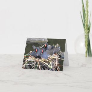 Anteckningskort: "4 i sängen" Moorhens Kort