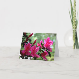 Anteckningskort, blommor kort
