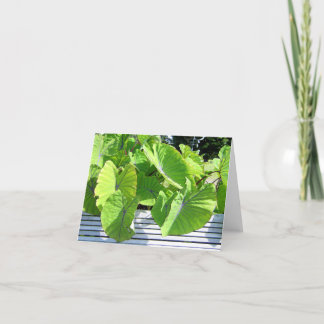 Anteckningskort för botaniskt Löv