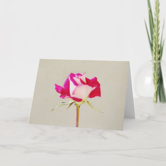 Anteckningskort för en artikel i Rosa ros (Framsida)