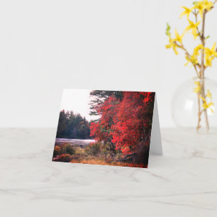 Anteckningskort för Fall Foliage Pond-Anpassadet