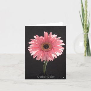 Anteckningskort för Gerber Daisy