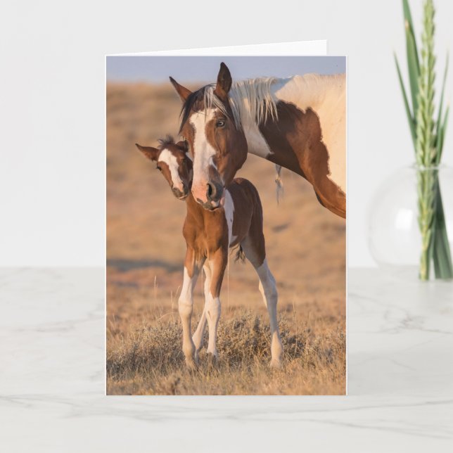 Anteckningskort för "Hej Baby" (Framsida)