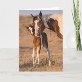 Anteckningskort för "Hej Baby"