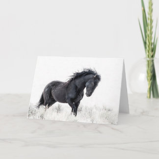 Anteckningskort för "isdansare"