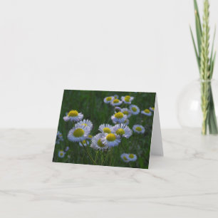 Anteckningskort för Meadow Wildblommor