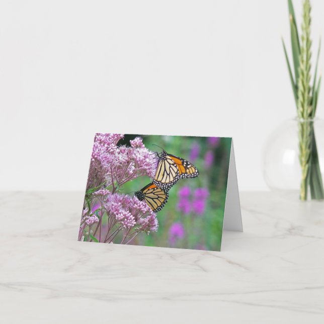 Anteckningskort för monarch Butterflies (Framsida)