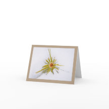 Anteckningskort för ögonblicksbilder av östra Sier